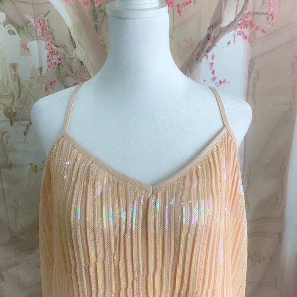 NEW Anthropologie Beaded Sequin Cami Blouse Top Size 8 - Picture 6 of 12
